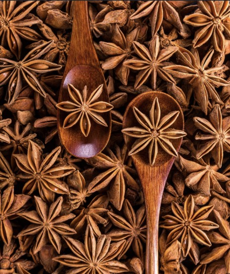 Star Anise